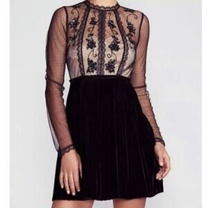 Free People Ariel Tulle Velvet Long Sleeve Small Lace Mesh Dress